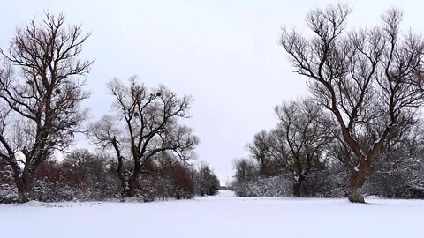 WINTER 2022 CHECHNYA SIGHTS OF THE TEREK RIVER