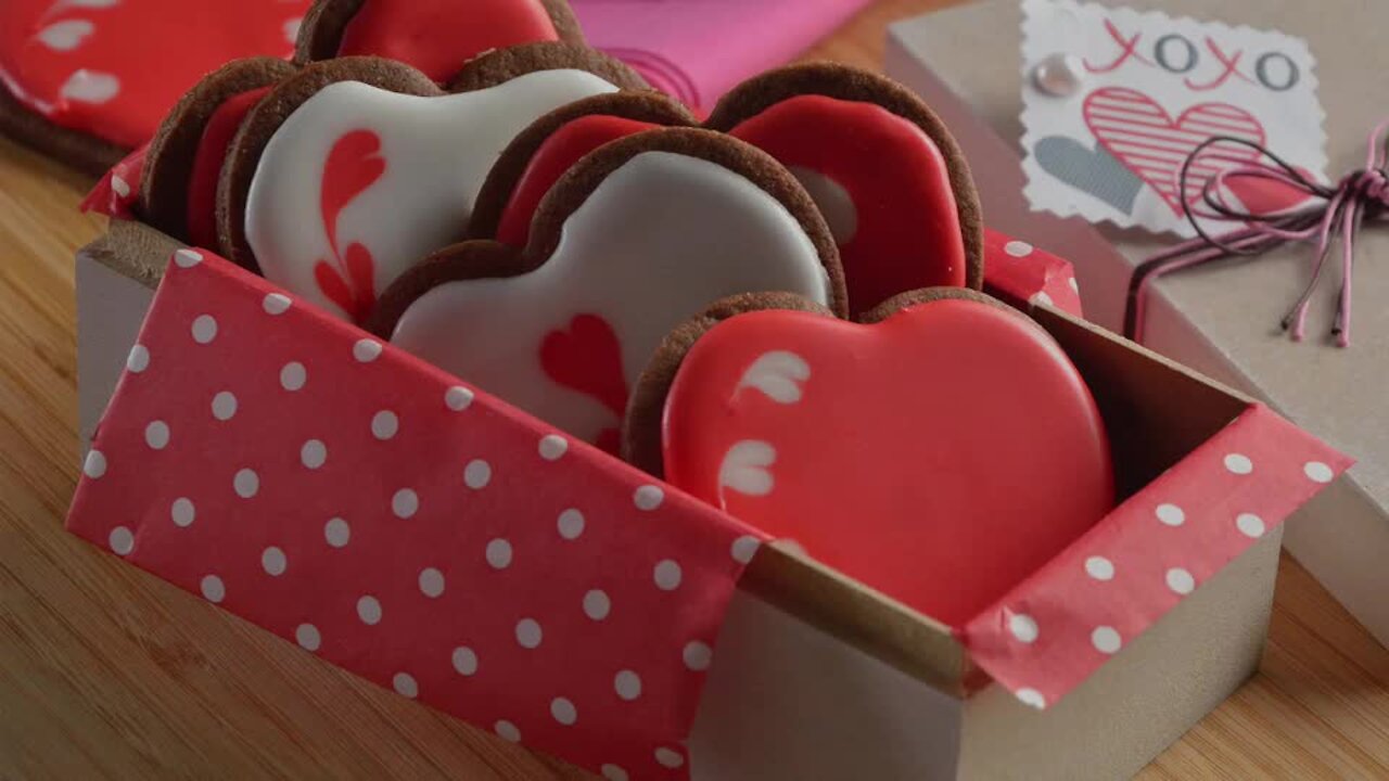 Chocolate Cookies and Royal Icing