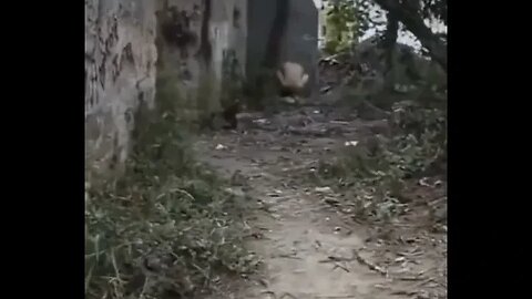 What would you do?