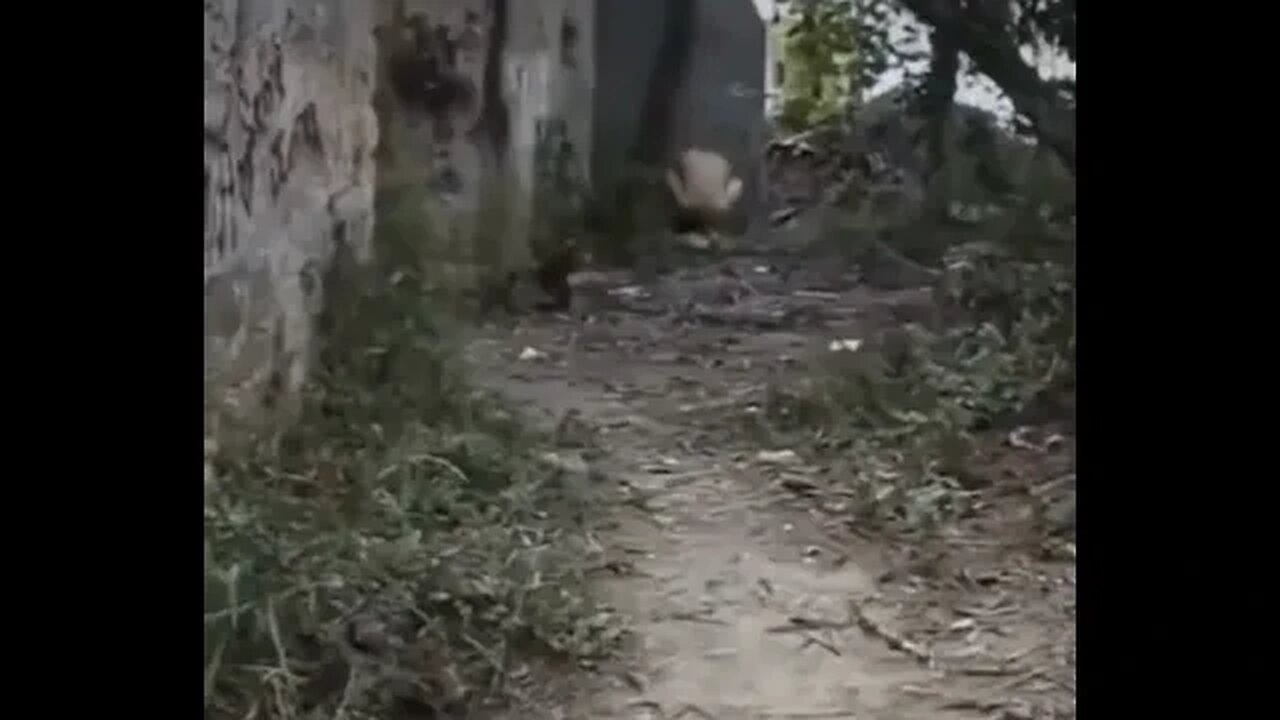 What would you do?