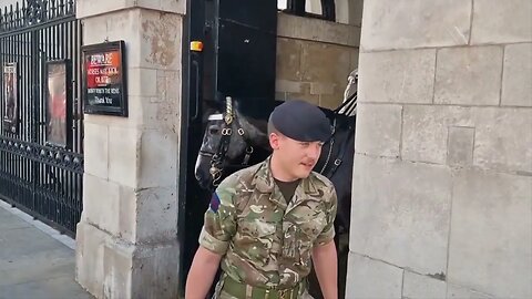Water being given to the horses regularly at horse guards #horseguardsparade