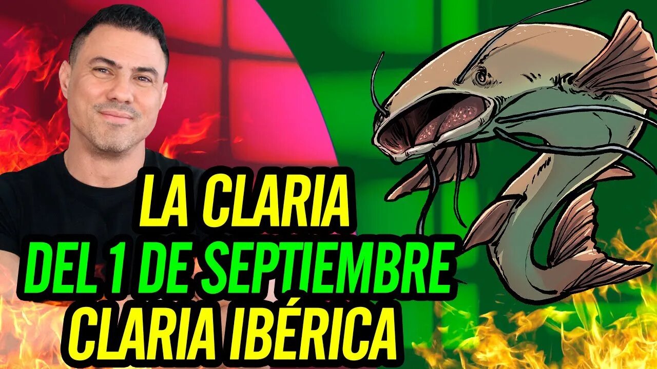 🐠 La Claria del 1 de septiembre. Claria ibérica 🐟