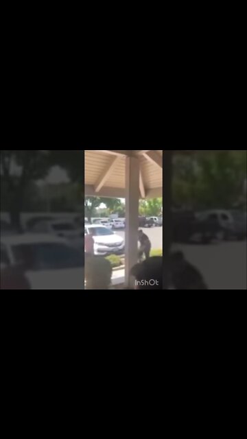 Video: K9 vs Belligerent Man #shorts #k9