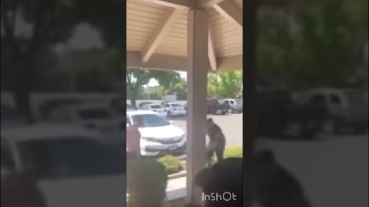 Video: K9 vs Belligerent Man #shorts #k9