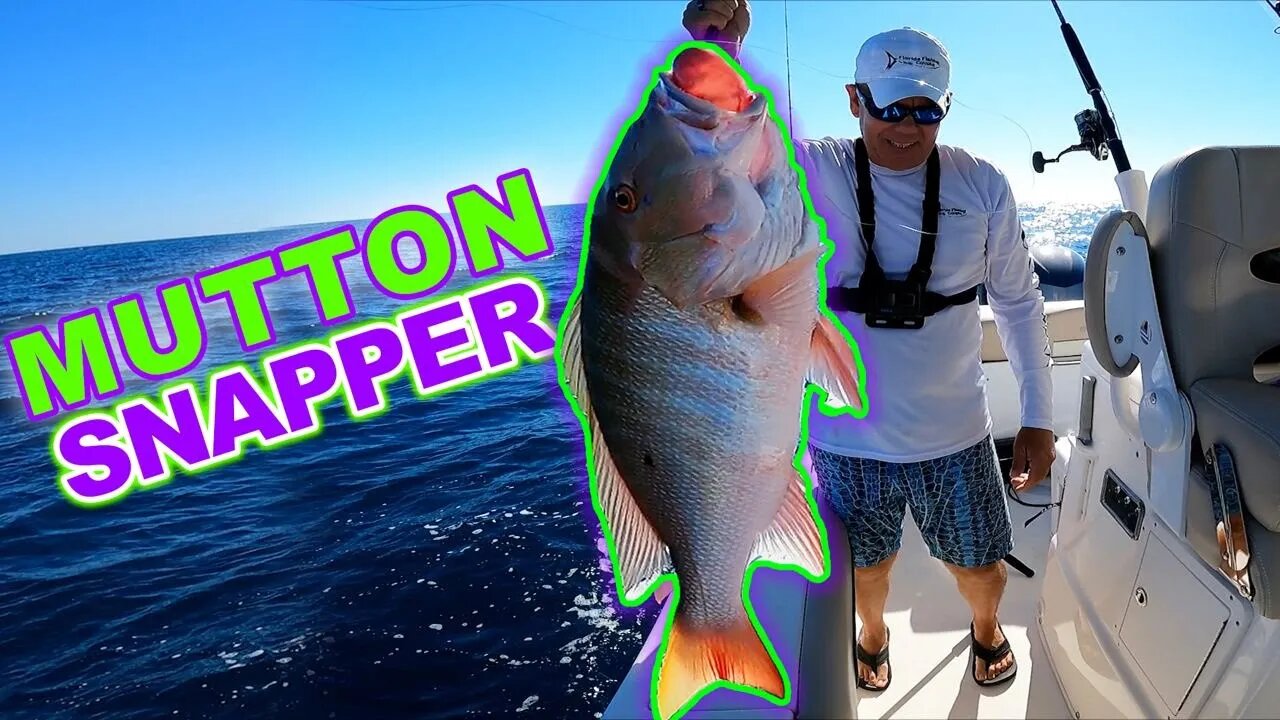 Catching a MUTTON SNAPPER off Key Largo