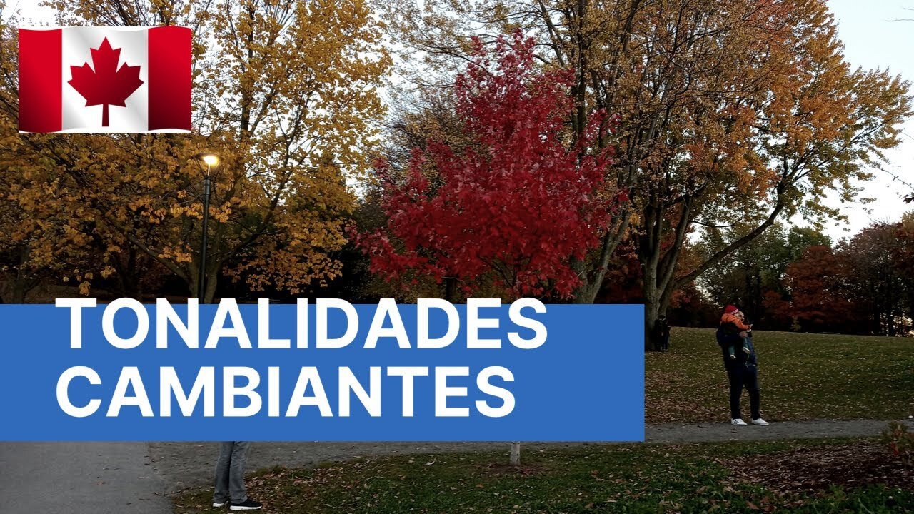 Tonalidades cambiantes