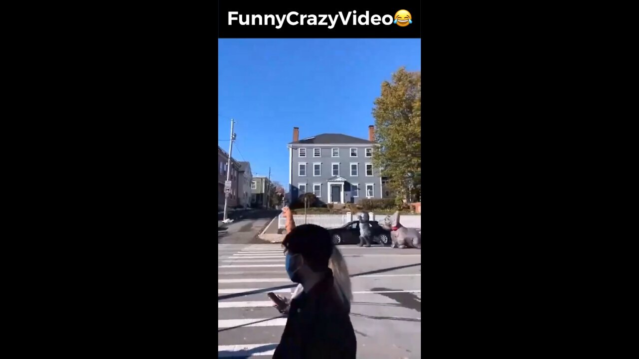 Mr FunnyCrazyVideo😂 Just Incredible Video Funny and Crazy #Like Follow for Follow 🥰