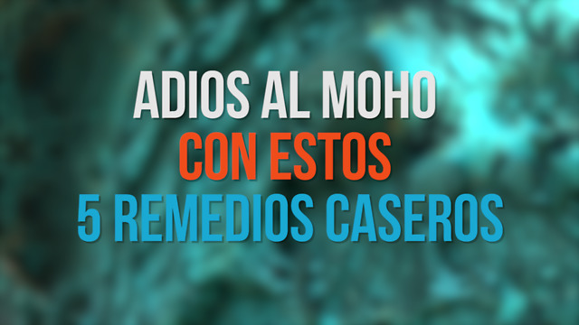 Adios Al Moho Con Estos 5 Remedios Caseros