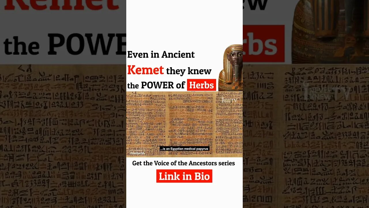 ❗️ Just listen ❗️ #144 | Forgotten Black History #youtubeblack #blackhistory