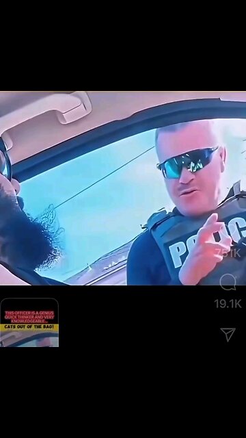 CA Officer Handles a How a CA Officer Handles Cat Driving a Car 😎