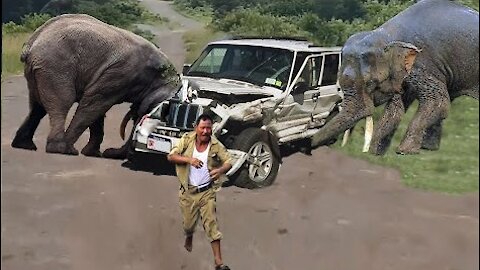 Angry elephant destroy every vehicle in India