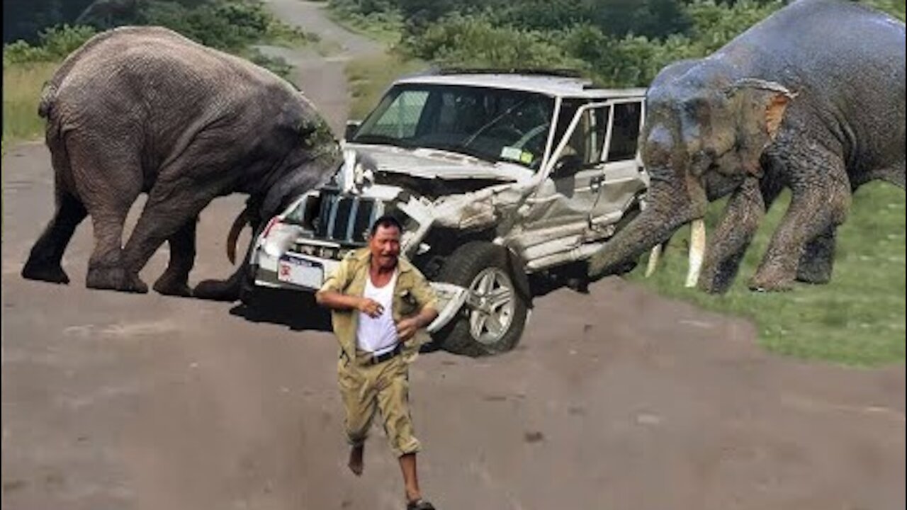 Angry elephant destroy every vehicle in India