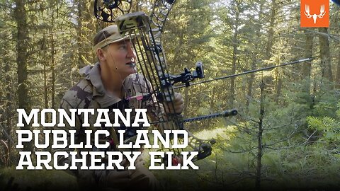 Montana Public Land Archery Elk | On the Hunt with Janis Putelis