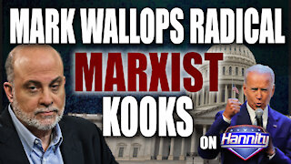 Levin Wallops Radical Marxist Kooks