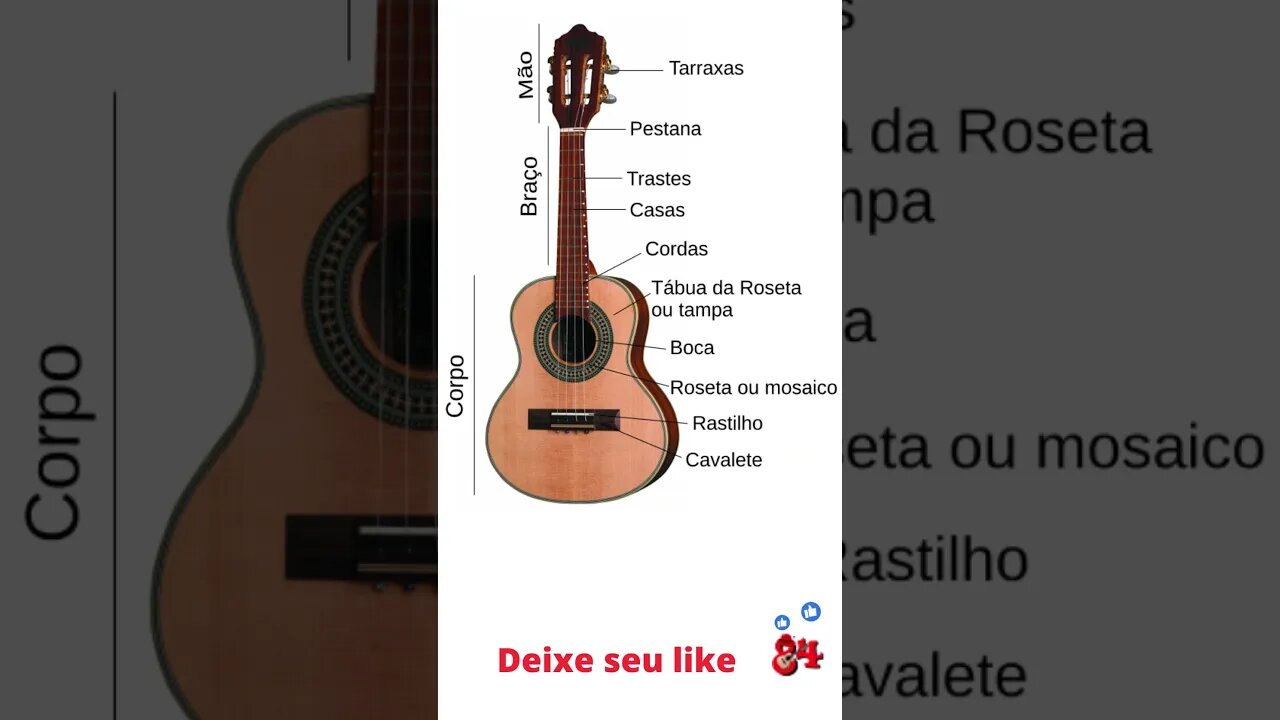 conheça o #cavaquinho e todos os detalhes para #iniciantes #shortvideo