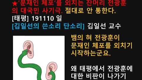 ★’문재인 체포’를 외치는 잔머리 전광훈의 대국민 사기극. 절대로 안 통한다. [태평] 191110 일 [김일선의 쓴소리 단소리] 김일선 교수
