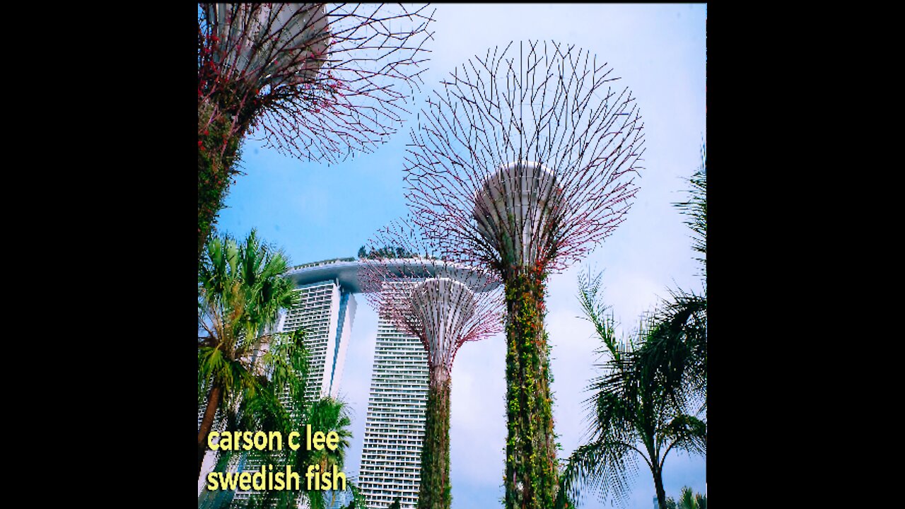 Carson C Lee 👐 Swedish Fish (Lofi)