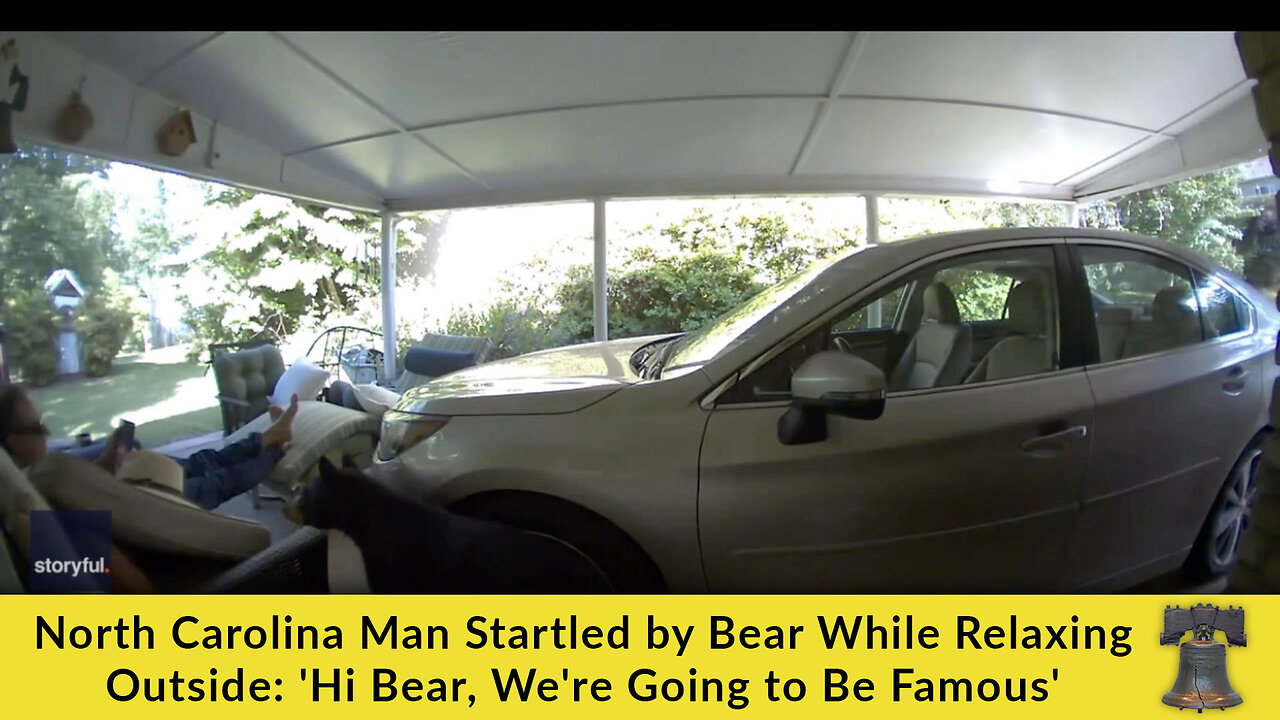 North Carolina Man Startled by Bear While Relaxing Outside: 'Hi Bear, We're Going to Be Famous'