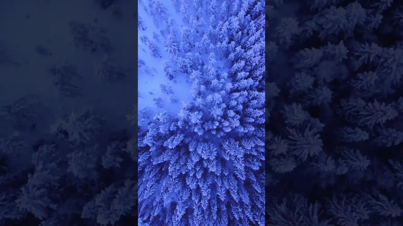 nature shot video #shorts