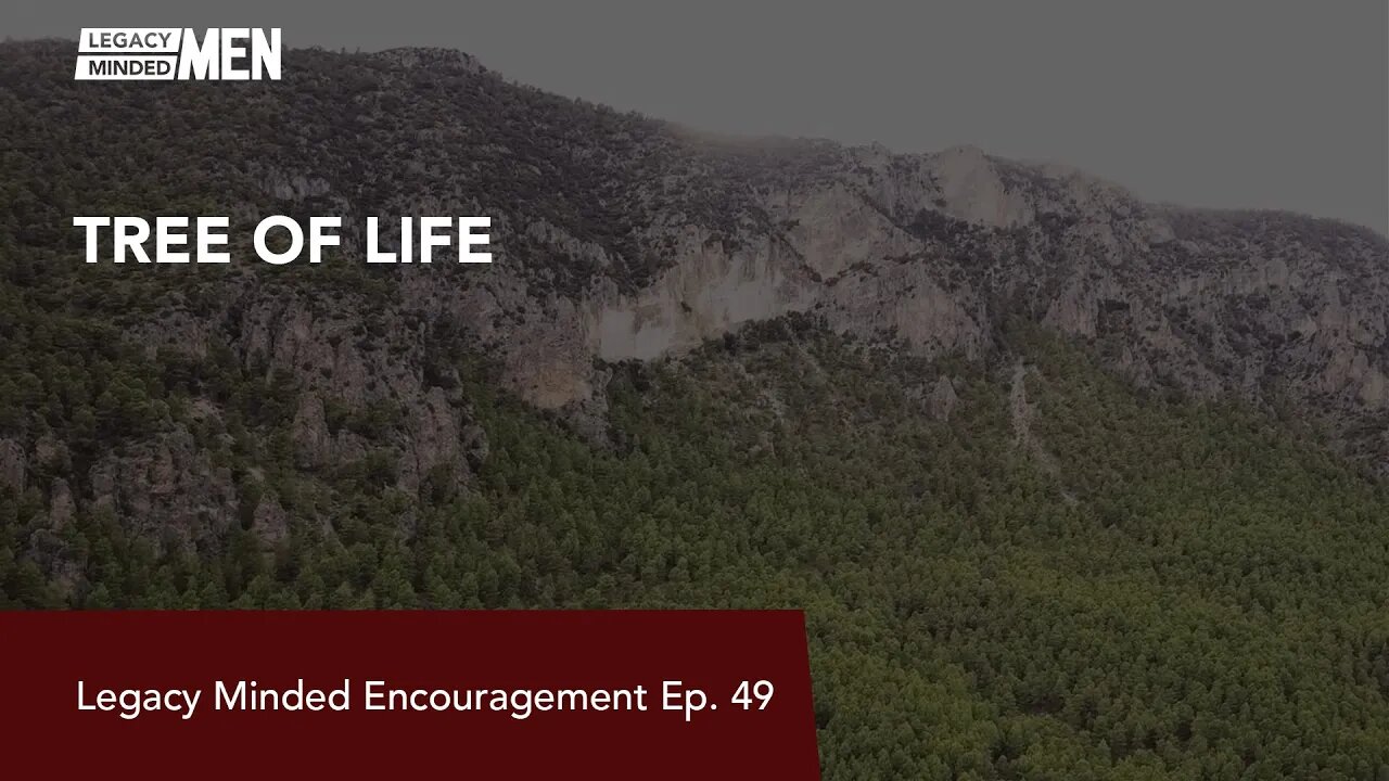 Tree of Life | Dr. Sam Hollo | Legacy Minded Encouragement