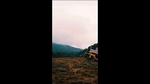👊🏻😎🇺🇸🦅