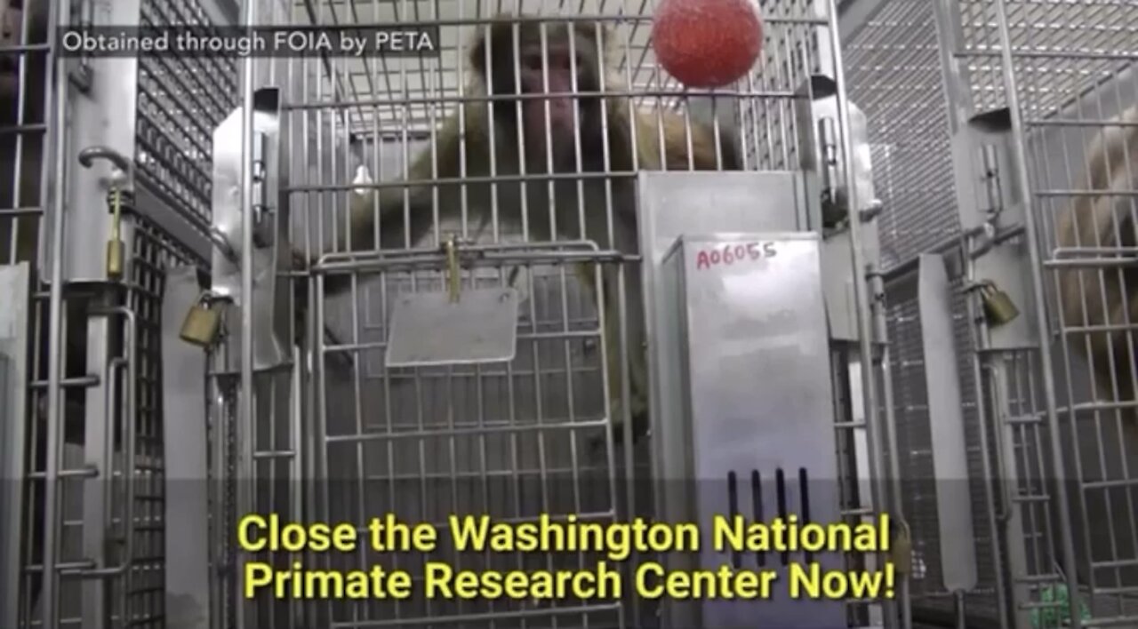 UW needs to shut this down now!