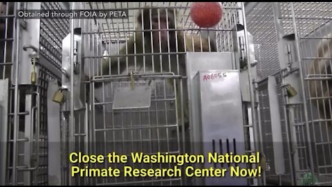UW needs to shut this down now!
