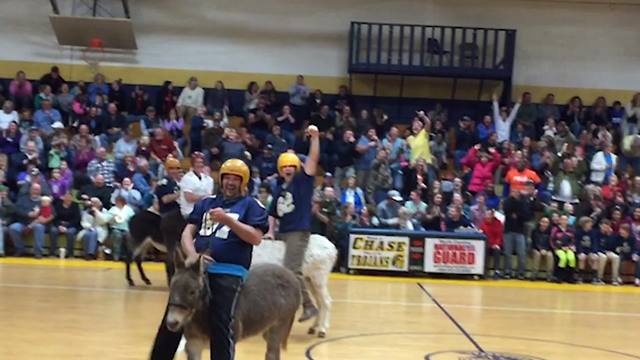 Funny Donkey Basketball Gone Hilarious