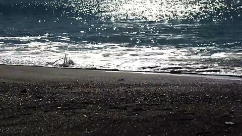 #menkıbe EN GÜZEL MENKIBELERDEN BİR BÖLÜM / "EN BÜYÜK CÖMERT"