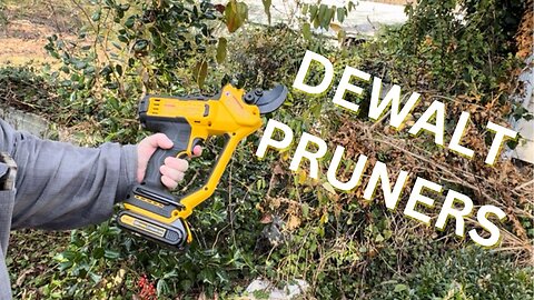 My DEWALT Pruners are great for Spring Cleaning!