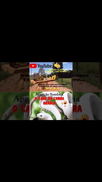 Enquanto a cerca estiver quebrada vai ser só porquinho fugindo... #shorts