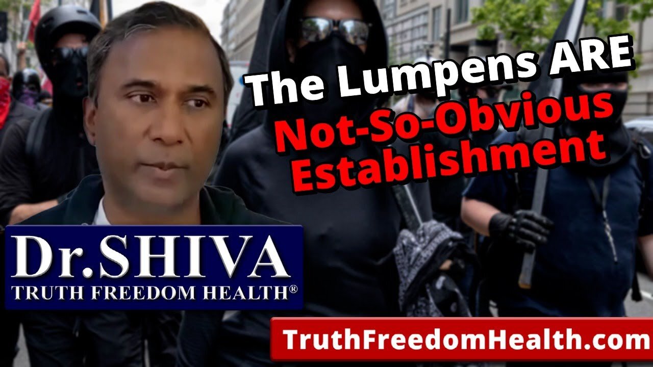 Dr.SHIVA: The Lumpenproletariat ARE The NOT-SO-OBVIOUS-ESTABLISHMENT