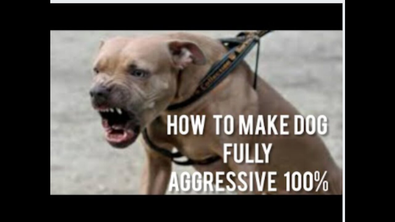 How To Turn Your Dog into a BEAST (Fully Aggressive) With Few Simple Tips