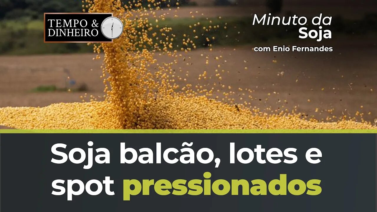 Soja balcão , lotes e spot pressionados com piora dos prêmios. Acompanhe com Ênio Fernandes.