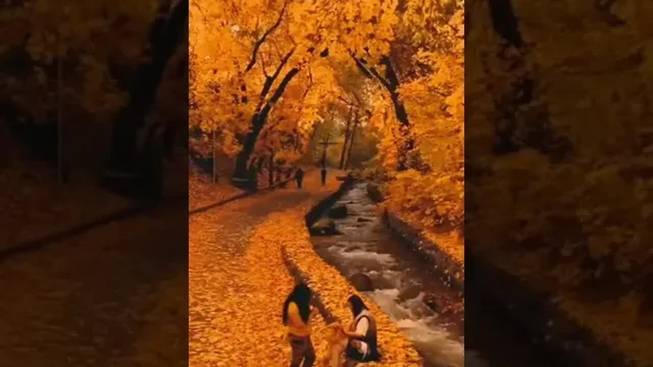 Autumn Garden