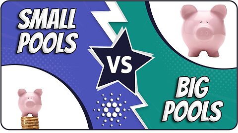 Small Vs Big Cardano Stake Pools | Facts To Consider!