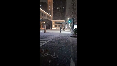 Snowfall in Kawasaki Japan