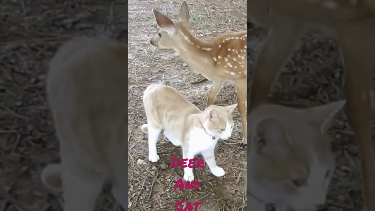 #Friendship