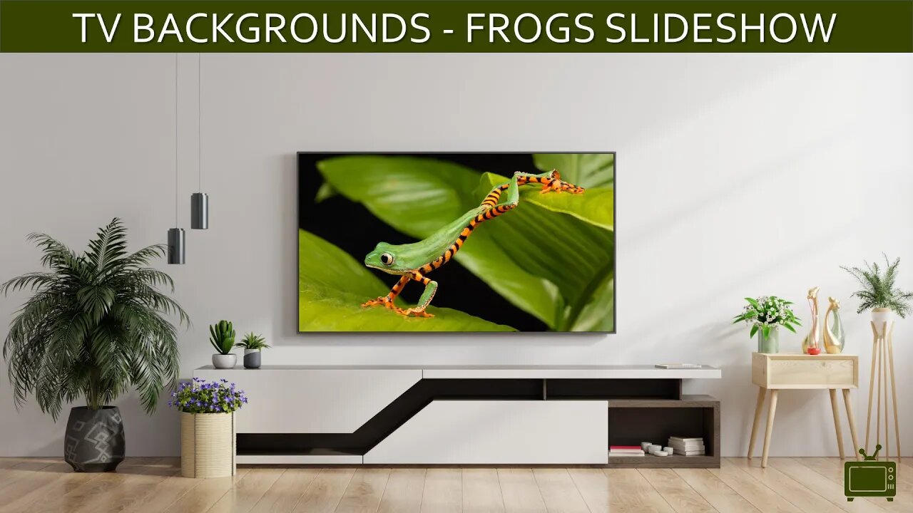 TV Background Frogs Screensaver TV Art Slideshow / No Sound