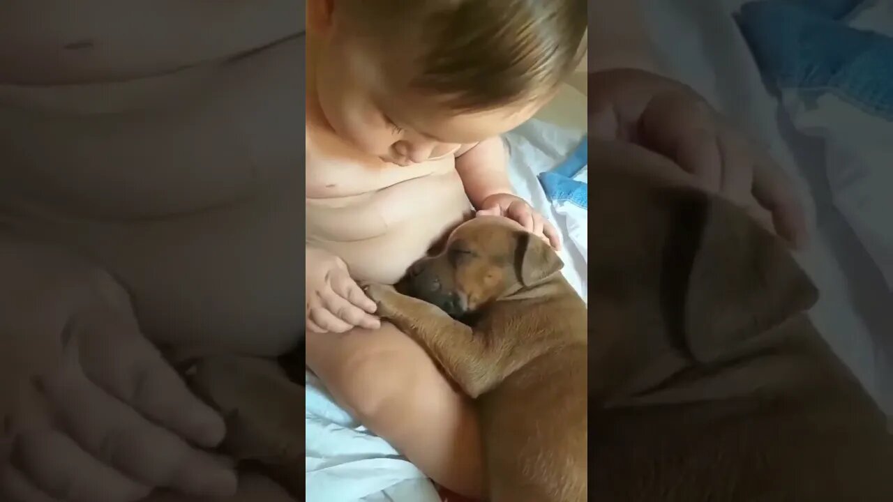 #love #cute #funny #family #baby #puppy Follow @motomotomastenbroek 🙏❤️