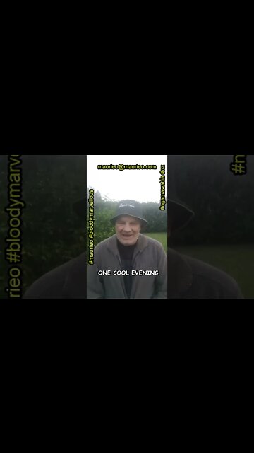 maurieo #shorts ONE COOL EVENING