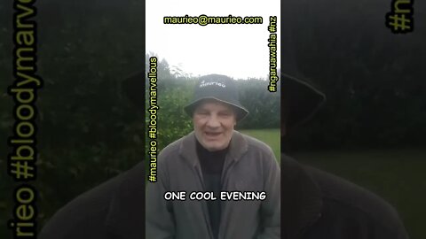 maurieo #shorts ONE COOL EVENING