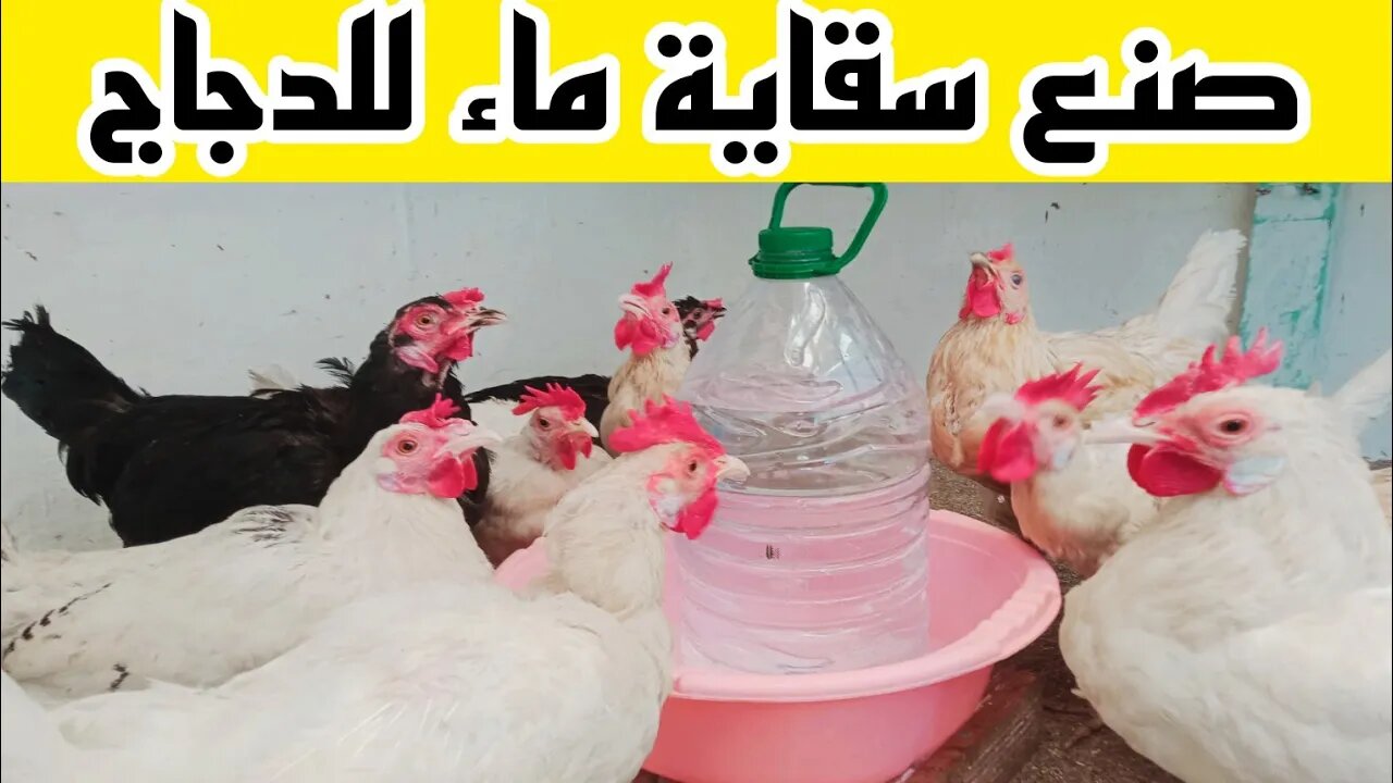 اصنع سقاية ماء بنفسك