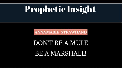 Prophetic Insight: Don't Be a Mule be a Marshal - 40 Acres and a Mule - Jacob and Esau - It's Biblical!