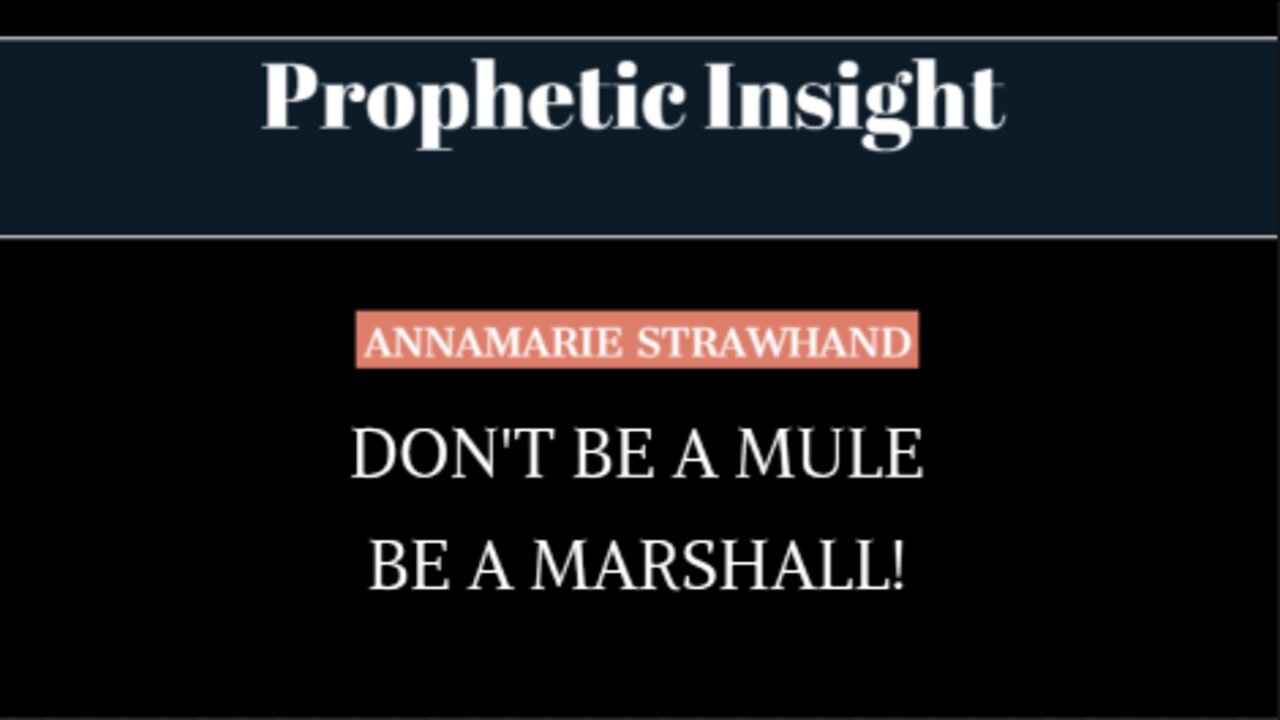 Prophetic Insight: Don't Be a Mule be a Marshal - 40 Acres and a Mule - Jacob and Esau - It's Biblical!