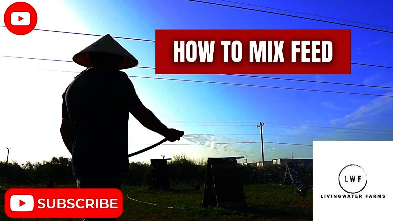 HOW TO MIX Yard feed GAMEFOWL Gamefarm Walkthrough