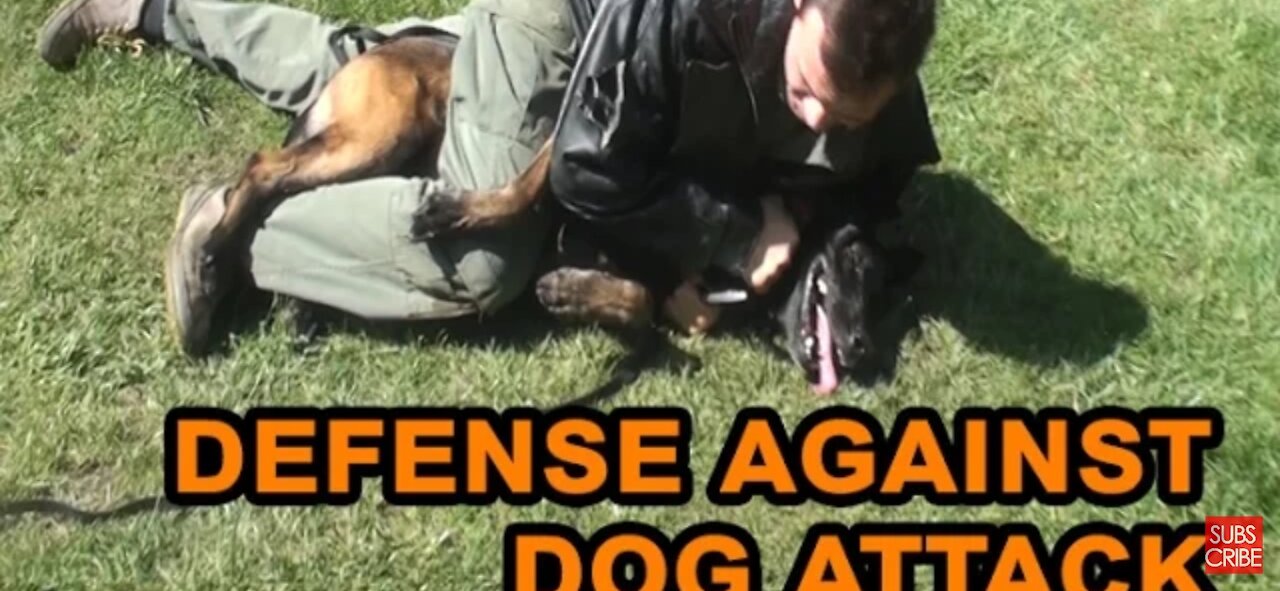 How to defend against a dog. Self defense against a dog attack. (Upload by Tyson Mpshe)