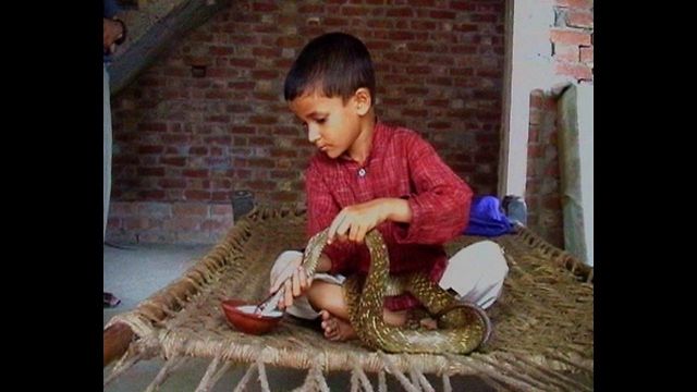 Kid Friends With Poisonous Snake