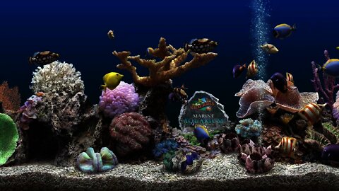 Marine Aquarium 3