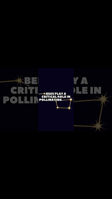 Incredible Random Facts That Will Expand Your Mind! [2023] #shorts #facts #viralshorts #fyp #life